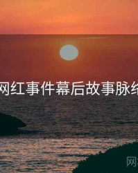 91网网红事件幕后故事脉络揭秘