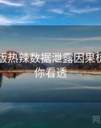 91网页版热辣数据泄露因果梳理，带你看透