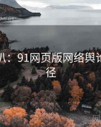 独家深扒：91网页版网络舆论传播路径