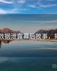 51爆料数据泄露幕后故事，揭秘真相