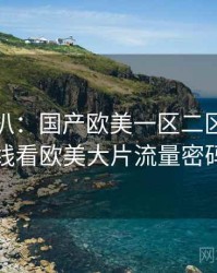 独家深扒：国产欧美一区二区三区在线看欧美大片流量密码