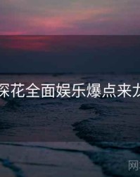 国产探花全面娱乐爆点来龙去脉