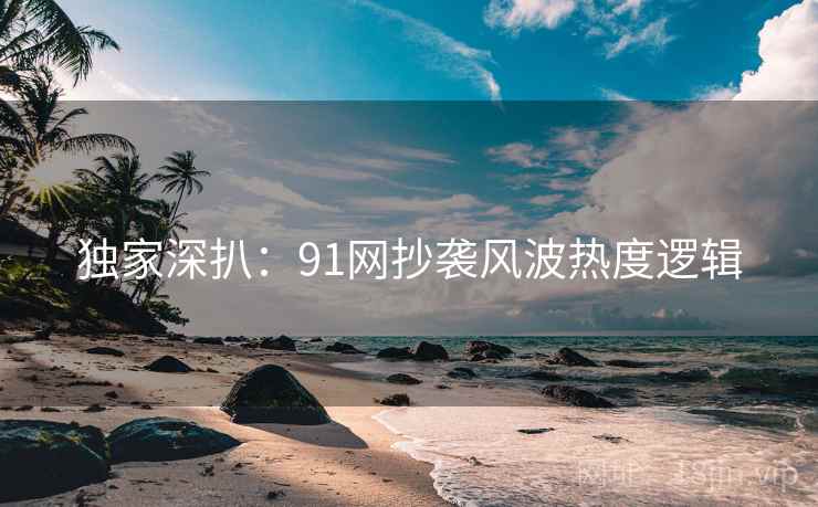 独家深扒:91网抄袭风波热度逻辑 独家深扒:91网抄袭风波热度逻辑